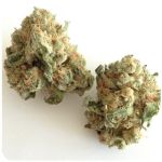 Шишки "White Widow" (Белая вдова) Гидропоника - Бошка VHQ в Бирске Шишки "White Widow" (Белая вдова) Гидропоника - Бошка VHQ в Бирске